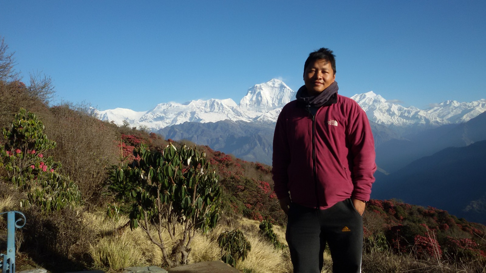 Himalayas