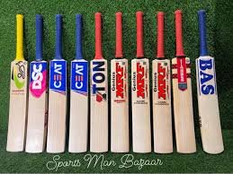 Cricket